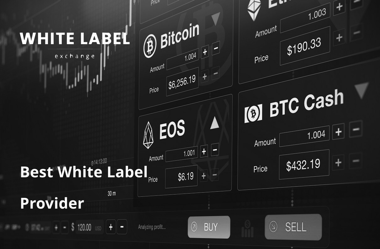 Find Your Perfect Match: The Best White Label Provider for Your Crypto Exchange