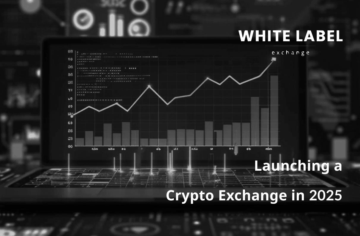 Unleash Your Potential: Launching a Crypto Exchange in 2025