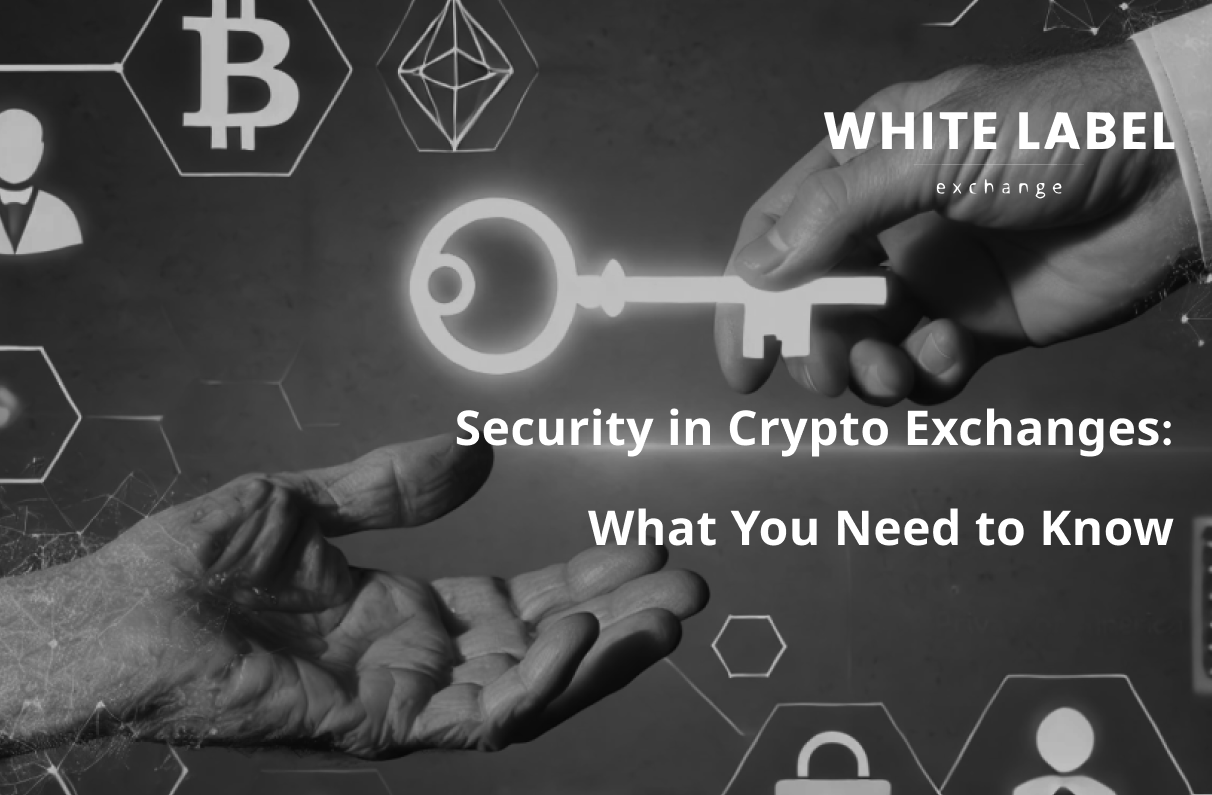 Security in Crypto Exchanges What You Need to Know