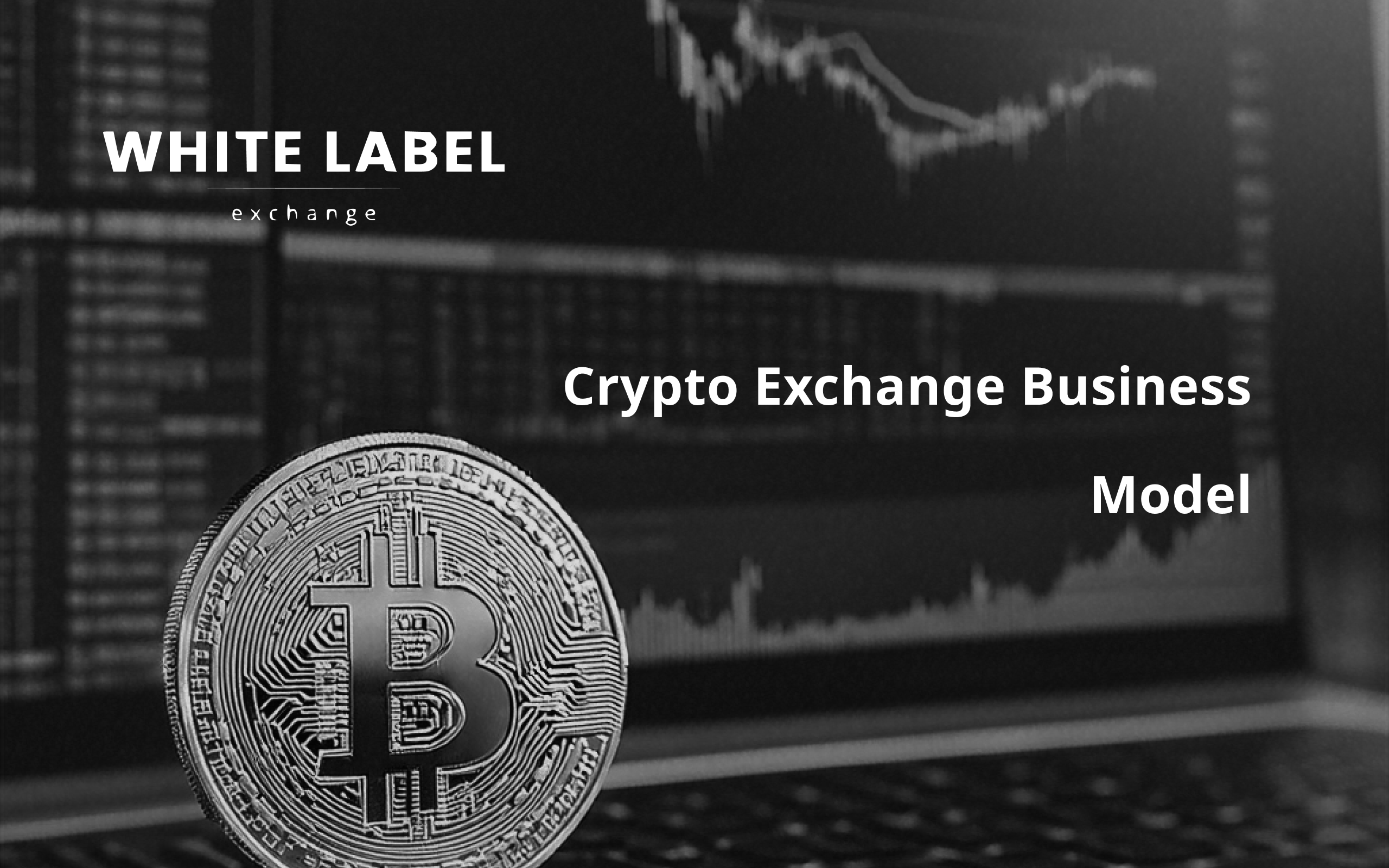 Whitelabel Exchange - Launch Your Cryptocurrency Exchange Solution in Cryptocurrency Advertisements_Crypto-Exchange-Business-Model_-Revenue-Sources-and-Business-Plan-Guide