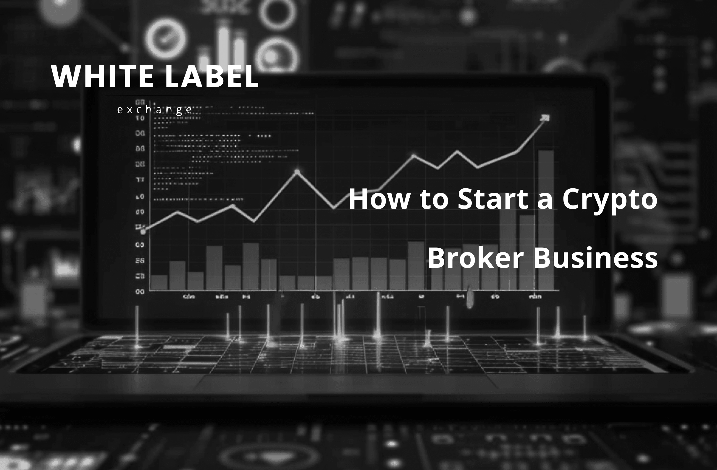 Crypto Brokerage Platform: How to Start a Crypto Broker Business