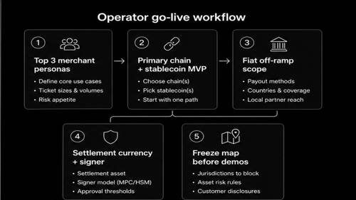 Dark workflow diagram: five-step merchant use-case and settlement map before vendor demos