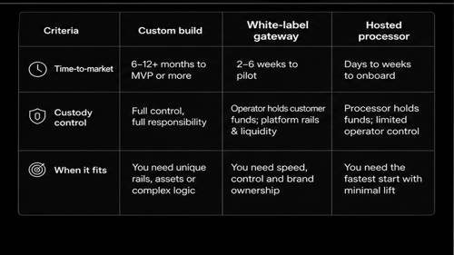 Dark score table: custom build vs white-label gateway vs hosted processor launch models